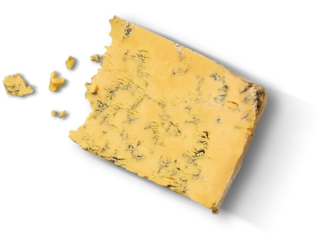 slice of golden blue cheese